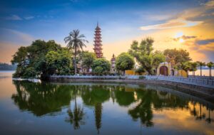 pexels-hội-nguyễn-14689770